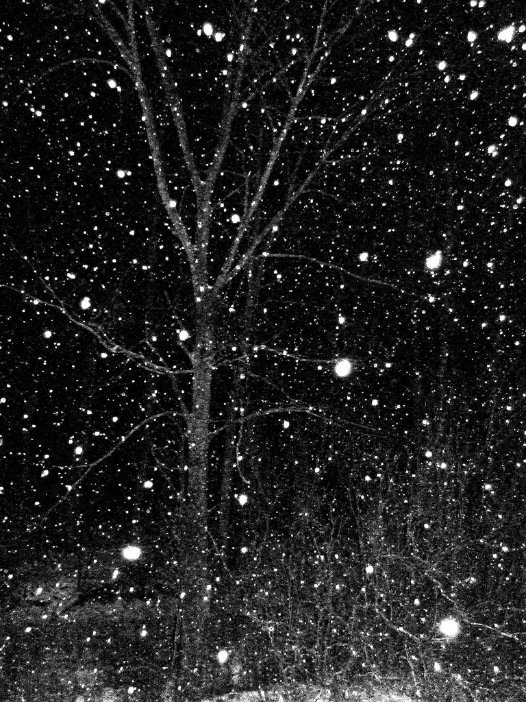 night snow