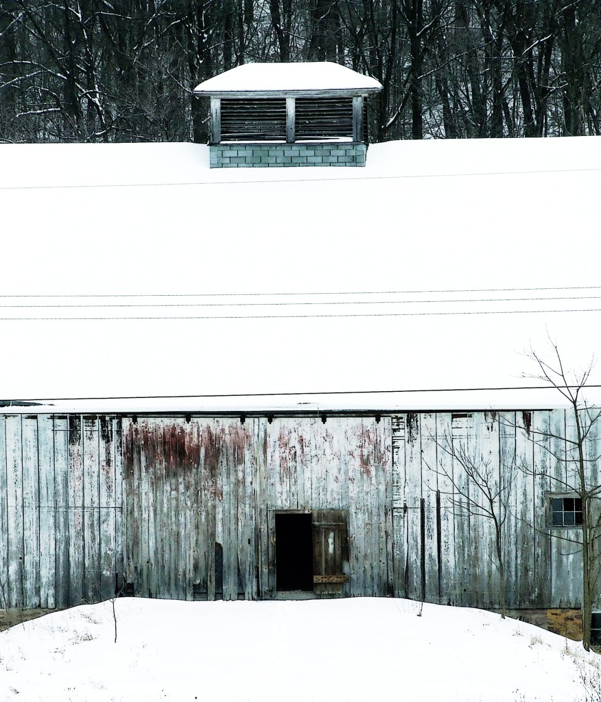 barn seen against the woods