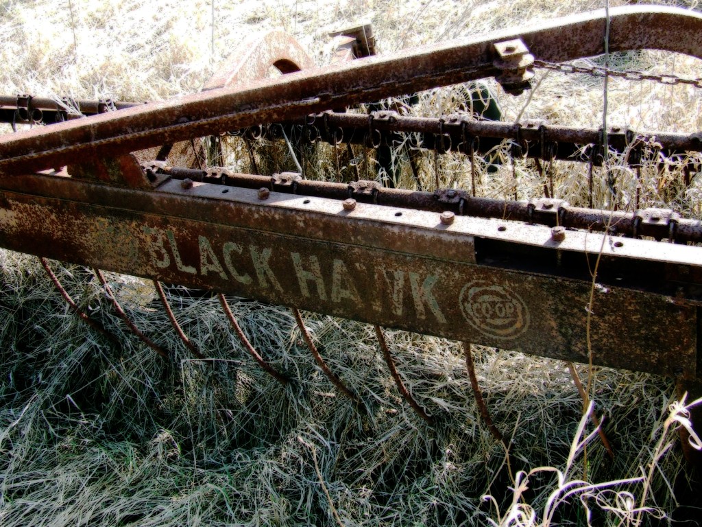 old Black Hawk Co-op hayrake