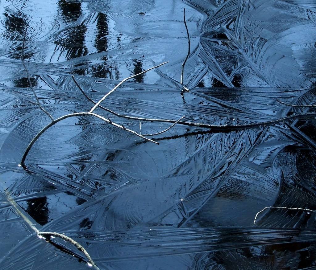 blue ice on the ephemeral woodland pond
