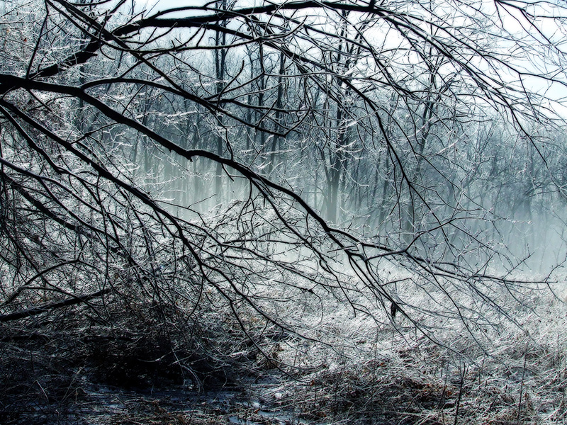 The Far Field after an ice storm