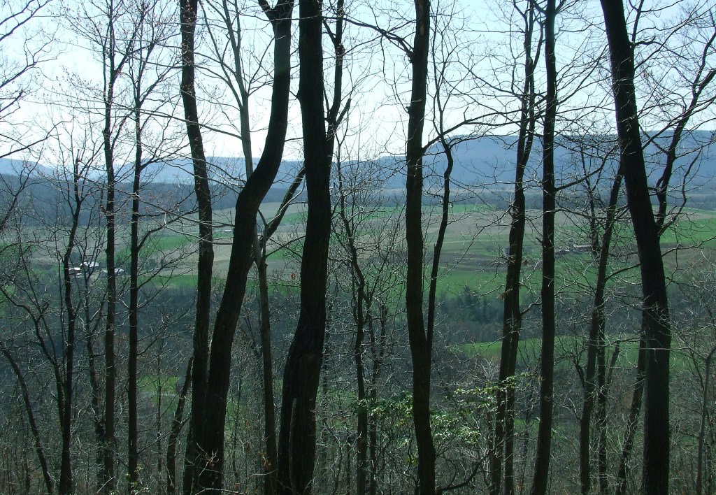 view of the north end of Sinking Valley from Brush Mountain