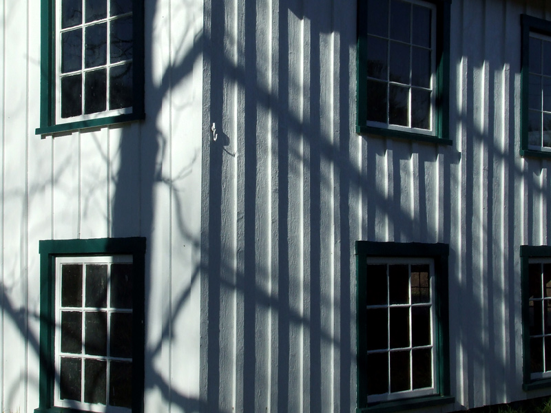 henhouse shadows