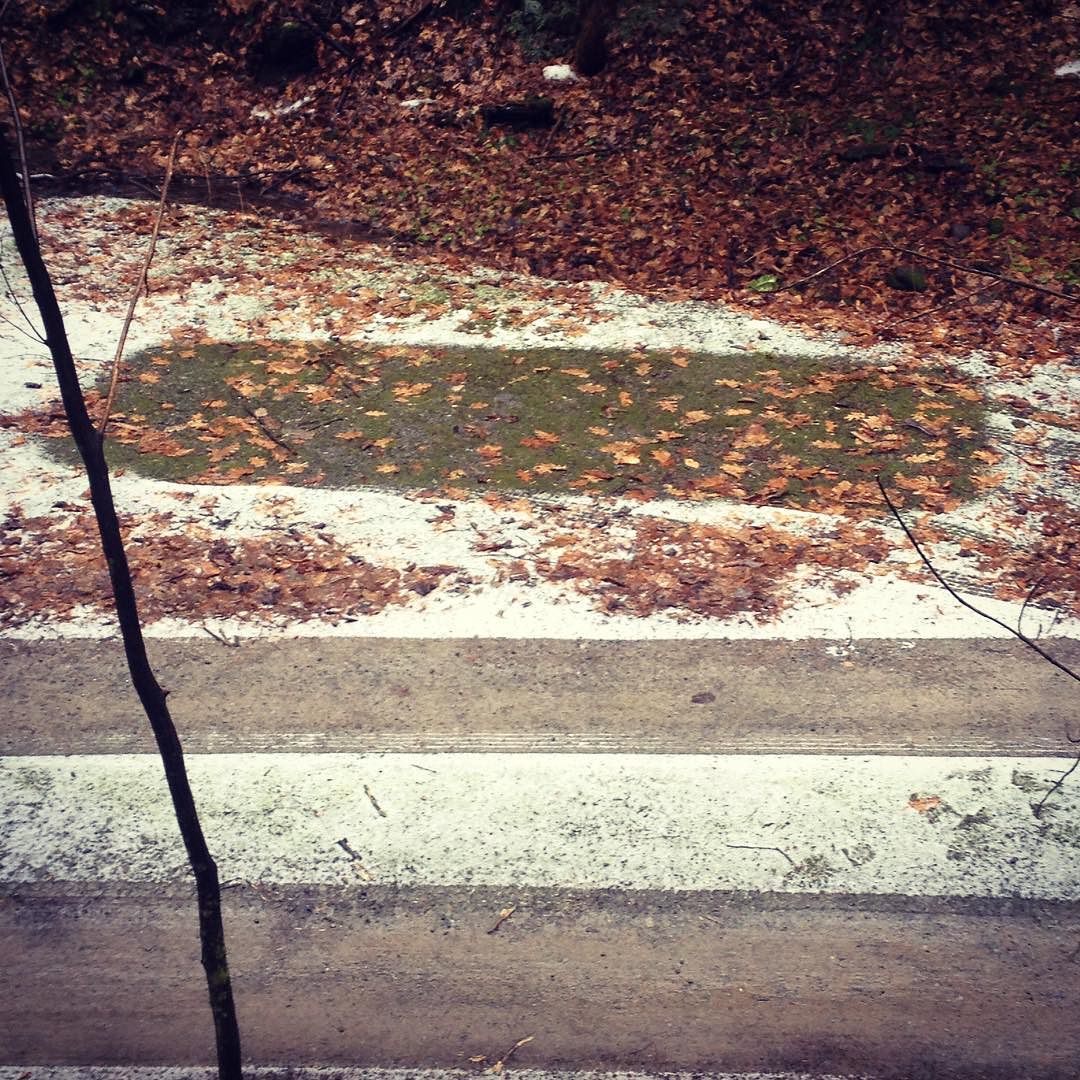 View of a parking area beside a gravel road with a large, rectangular snow-free spot where a car had sat. 