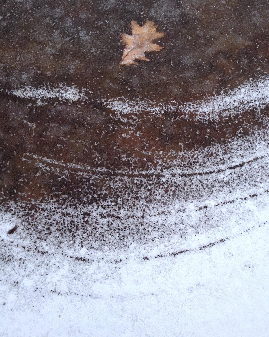 The frozen surface of a pond with a leaf frozen in clear ice and rings of successively whiter ice closer to shore.