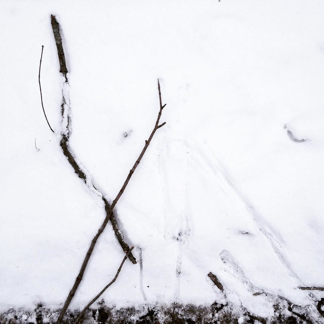 Sticks in the snow beside the tracks they made when blown about by the wind.