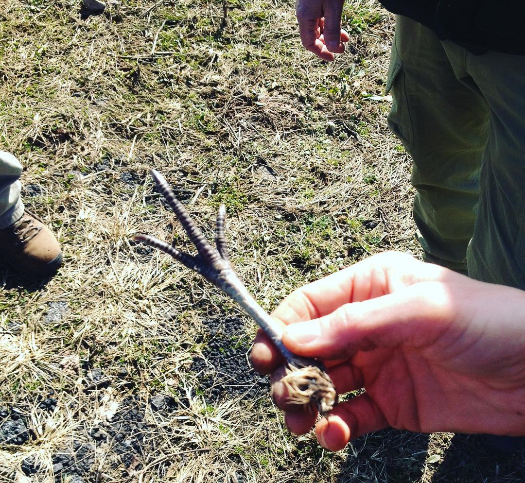 A hand holding a large bird's foot, with one person's boot and another person's hand visible in the background.
