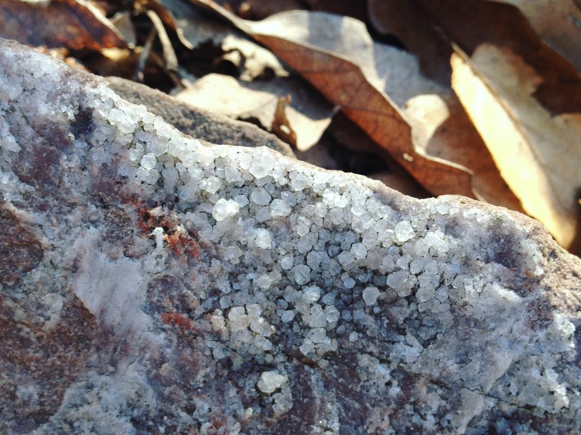 Close-up a piece of quartzite on the forest floor, showing the beehive-like arrangement of crystals.