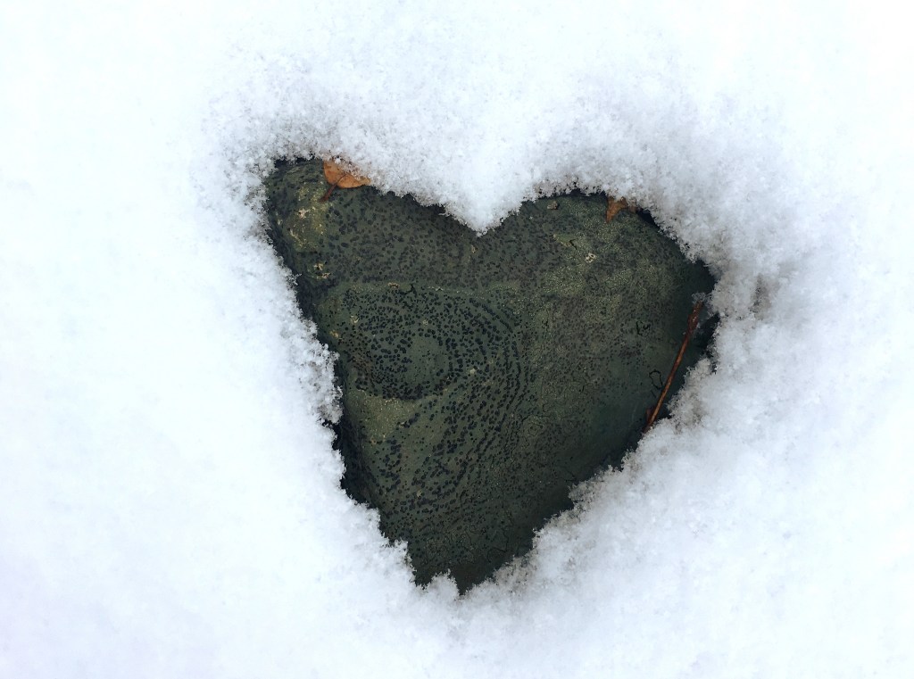 snow melted in a heart shape over a lichen-covered rock