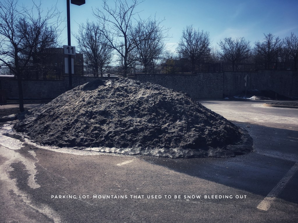 A large mound of plowed snow in a parking lot, black with dirt.