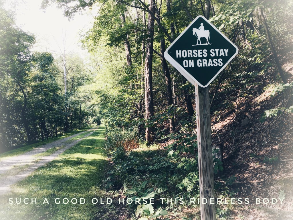 A wide trail with a sign that says HORSES STAY ON GRASS